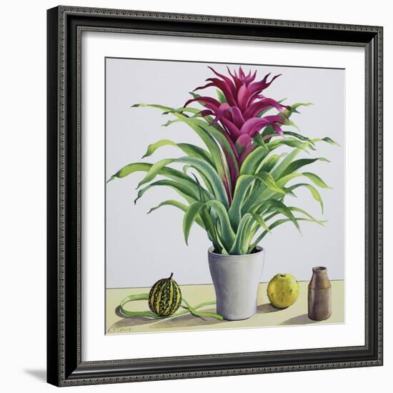 Still Life with Bromeliad-Christopher Ryland-Framed Giclee Print