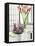 Still Life with Calla Lily and Geraldton Wax Flowers-Alena Hrbkova-Framed Premier Image Canvas