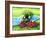 Still-Life With Camomiles And A Strawberry-balaikin2009-Framed Art Print