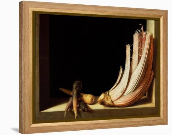 Still Life with Cardoon and Parsnips, 1604-Juan Sanchez Cotan-Framed Premier Image Canvas