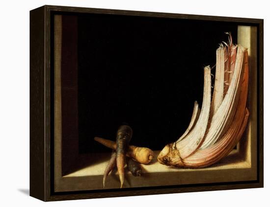 Still Life with Cardoon and Parsnips, 1604-Juan Sanchez Cotan-Framed Premier Image Canvas