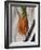 Still Life with Carrots-Catherine Abel-Framed Giclee Print