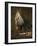 Still Life with Cat and Rayfish-Jean-Baptiste Simeon Chardin-Framed Giclee Print