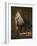 Still Life with Cat and Rayfish-Jean-Baptiste Simeon Chardin-Framed Giclee Print