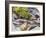 Still Life with Charr, Oysters and Dill-Eising Studio - Food Photo and Video-Framed Photographic Print