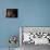 Still Life With Chickpea-Luiz Laercio-Photographic Print displayed on a wall