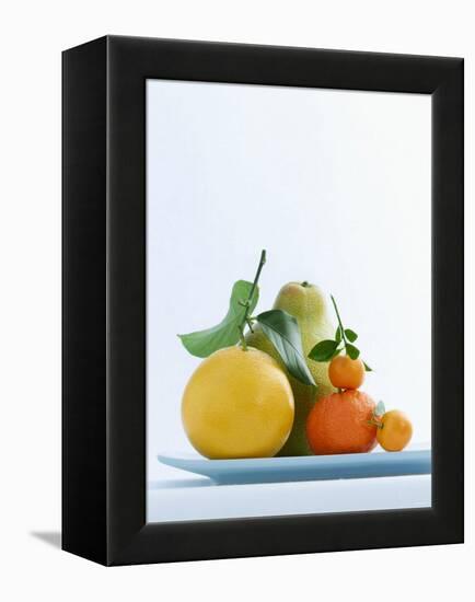 Still Life with Citrus Fruits-Armin Zogbaum-Framed Premier Image Canvas