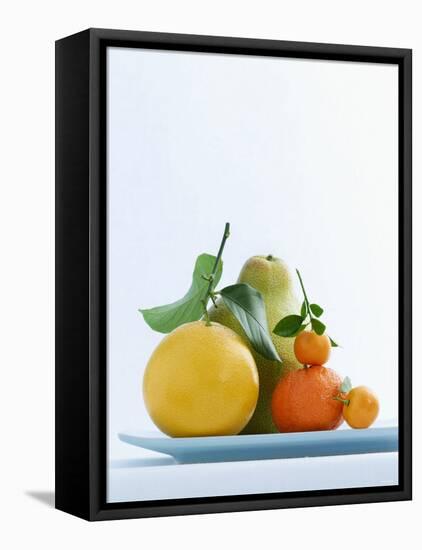 Still Life with Citrus Fruits-Armin Zogbaum-Framed Premier Image Canvas