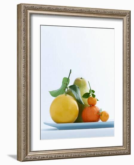 Still Life with Citrus Fruits-Armin Zogbaum-Framed Photographic Print