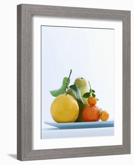 Still Life with Citrus Fruits-Armin Zogbaum-Framed Photographic Print