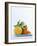 Still Life with Citrus Fruits-Armin Zogbaum-Framed Photographic Print