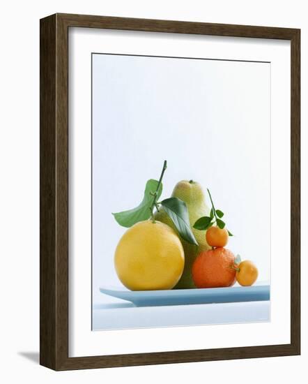 Still Life with Citrus Fruits-Armin Zogbaum-Framed Photographic Print