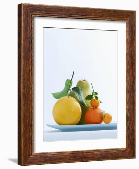 Still Life with Citrus Fruits-Armin Zogbaum-Framed Photographic Print