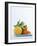 Still Life with Citrus Fruits-Armin Zogbaum-Framed Photographic Print