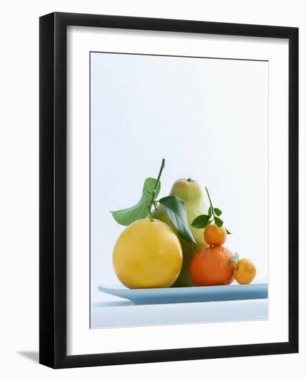 Still Life with Citrus Fruits-Armin Zogbaum-Framed Photographic Print