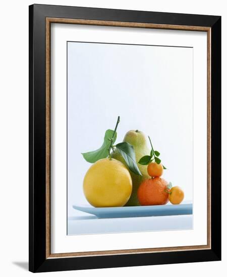 Still Life with Citrus Fruits-Armin Zogbaum-Framed Photographic Print