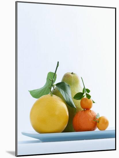 Still Life with Citrus Fruits-Armin Zogbaum-Mounted Photographic Print