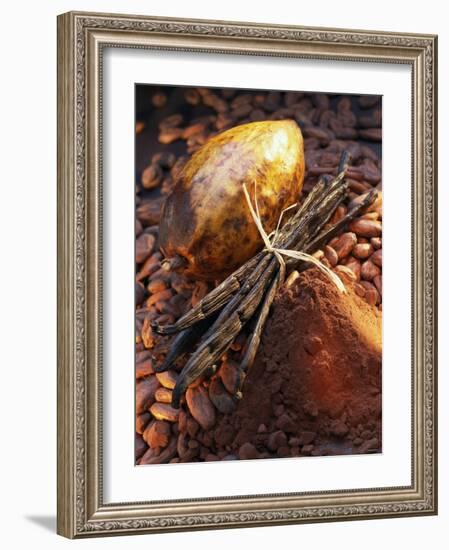 Still Life with Cocoa and Vanilla Pods-Marc O^ Finley-Framed Photographic Print