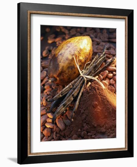 Still Life with Cocoa and Vanilla Pods-Marc O^ Finley-Framed Photographic Print