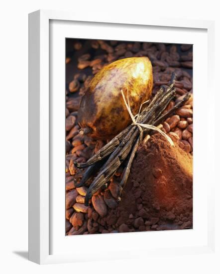 Still Life with Cocoa and Vanilla Pods-Marc O^ Finley-Framed Photographic Print