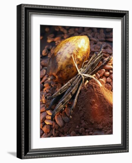 Still Life with Cocoa and Vanilla Pods-Marc O^ Finley-Framed Photographic Print
