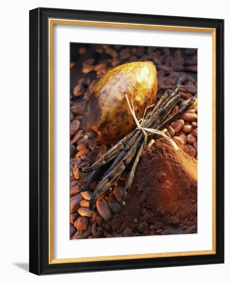 Still Life with Cocoa and Vanilla Pods-Marc O^ Finley-Framed Photographic Print