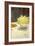 Still Life with Daffodils, 1885-95-John Singer Sargent-Framed Giclee Print