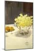 Still Life with Daffodils, 1885-95-John Singer Sargent-Mounted Giclee Print