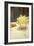 Still Life with Daffodils, 1885-95-John Singer Sargent-Framed Giclee Print