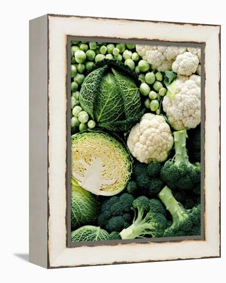 Still Life with Different Types of Cabbages-Peter Howard Smith-Framed Premier Image Canvas