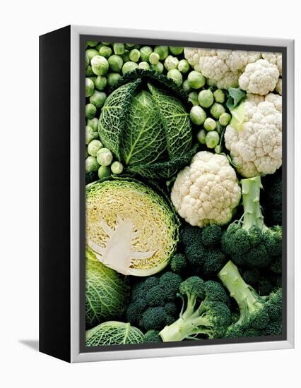 Still Life with Different Types of Cabbages-Peter Howard Smith-Framed Premier Image Canvas