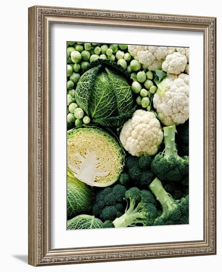 Still Life with Different Types of Cabbages-Peter Howard Smith-Framed Photographic Print