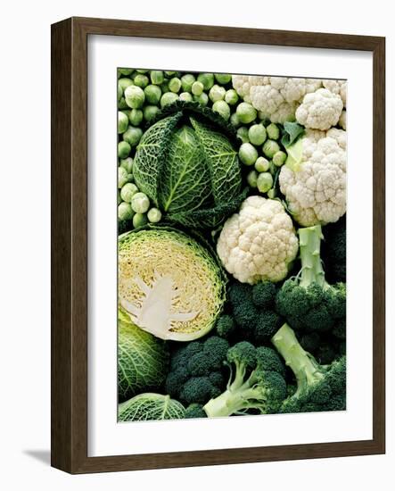 Still Life with Different Types of Cabbages-Peter Howard Smith-Framed Photographic Print