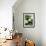 Still Life with Different Types of Cabbages-Peter Howard Smith-Framed Photographic Print displayed on a wall