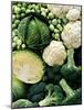 Still Life with Different Types of Cabbages-Peter Howard Smith-Mounted Photographic Print