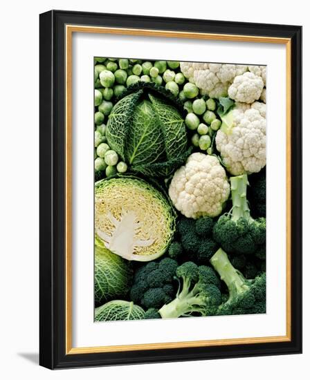 Still Life with Different Types of Cabbages-Peter Howard Smith-Framed Photographic Print