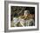 Still Life with Drapery, C1895-Paul Cézanne-Framed Giclee Print