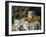 Still Life with Drapery, C1895-Paul Cézanne-Framed Giclee Print