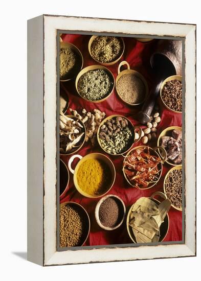 Still Life with Exotic Spices-Frederic Vasseur-Framed Premier Image Canvas