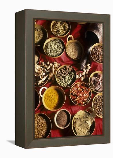 Still Life with Exotic Spices-Frederic Vasseur-Framed Premier Image Canvas