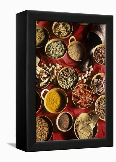 Still Life with Exotic Spices-Frederic Vasseur-Framed Premier Image Canvas