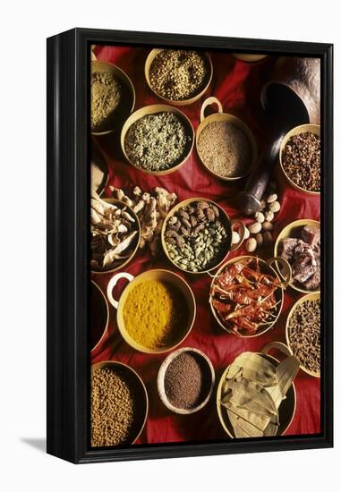 Still Life with Exotic Spices-Frederic Vasseur-Framed Premier Image Canvas