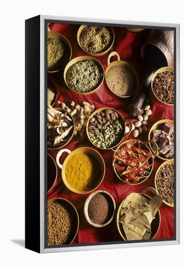 Still Life with Exotic Spices-Frederic Vasseur-Framed Premier Image Canvas