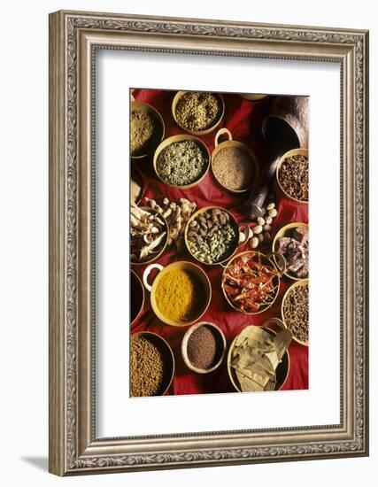 Still Life with Exotic Spices-Frederic Vasseur-Framed Photographic Print