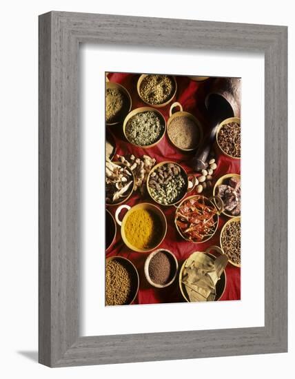 Still Life with Exotic Spices-Frederic Vasseur-Framed Photographic Print