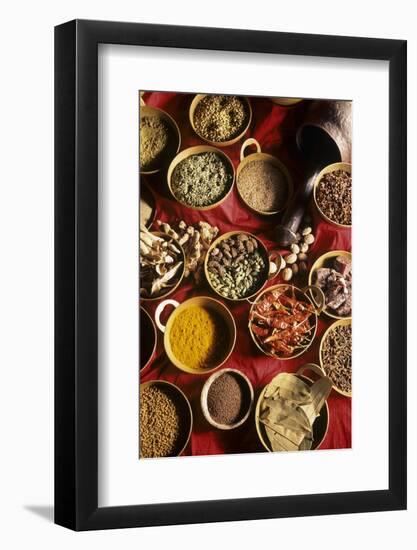 Still Life with Exotic Spices-Frederic Vasseur-Framed Photographic Print