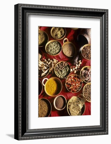 Still Life with Exotic Spices-Frederic Vasseur-Framed Photographic Print