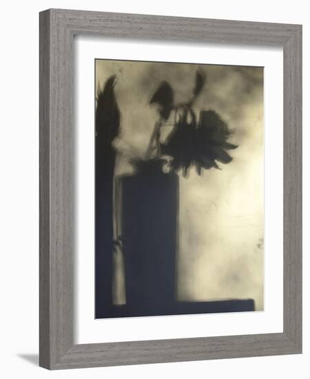 Still Life with Feather and Sunflower-Gaetan Caron-Framed Giclee Print