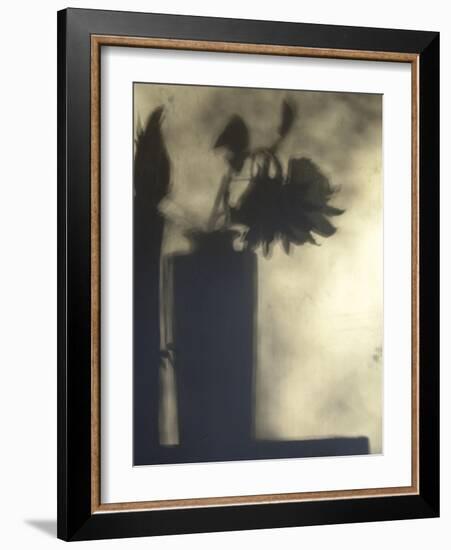 Still Life with Feather and Sunflower-Gaetan Caron-Framed Giclee Print
