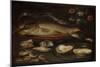 Still Life with Fish, Oysters and Shrimps-Clara Peeters-Mounted Art Print